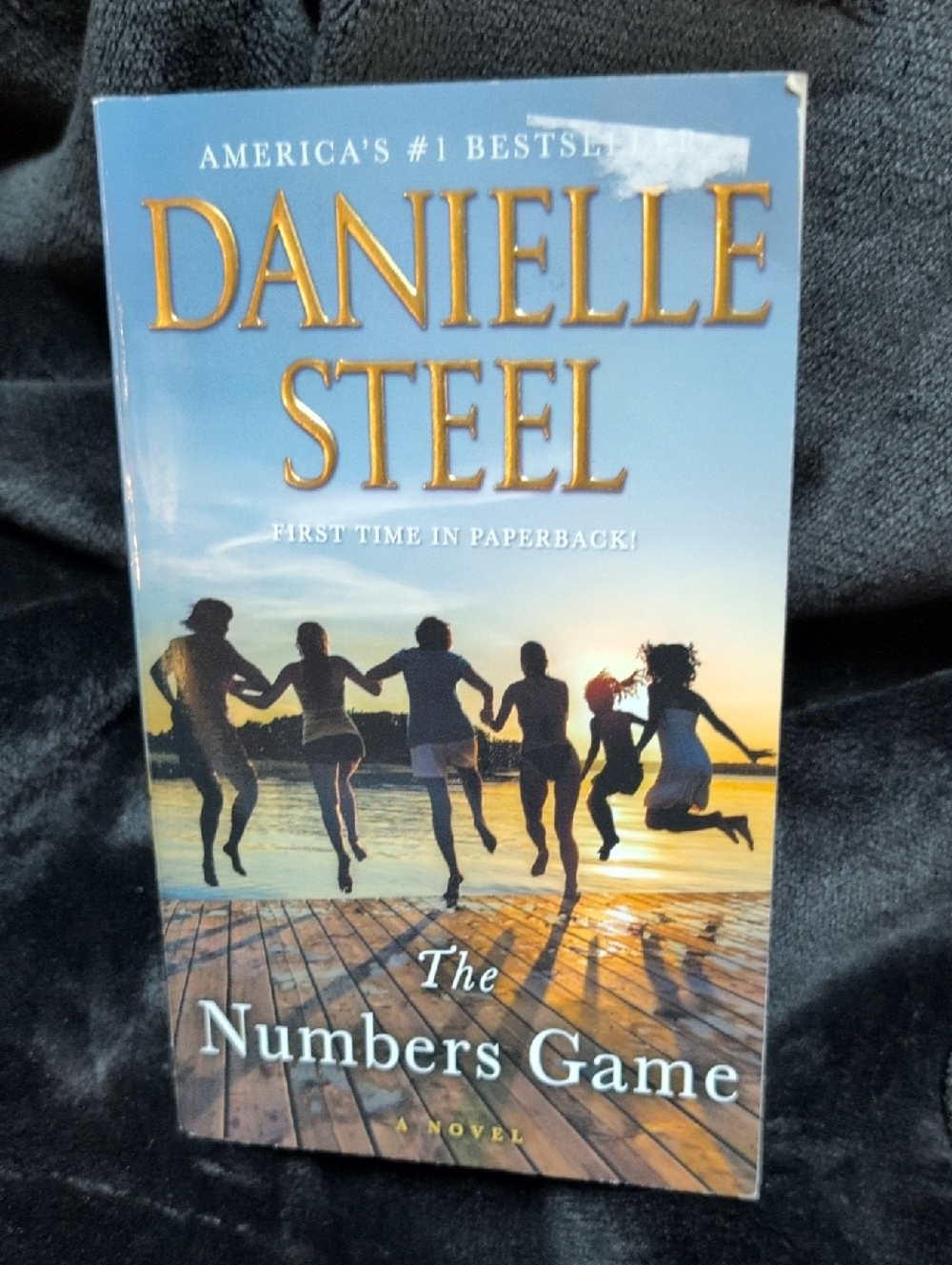 The Numbers Game Paperback Novel